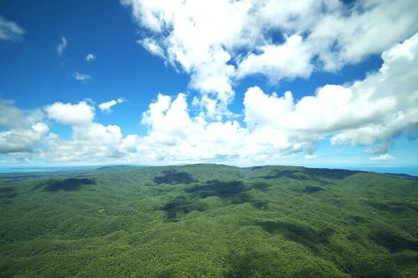 星結いの森 ー沖縄・国頭村の星空ー(コニカミノルタプラネタリア TOKYO)